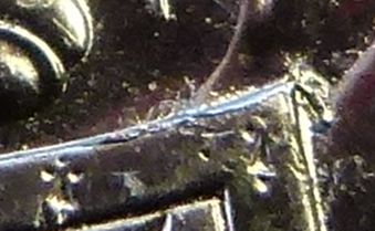 2011-50c-Die-Crack-Or-Lamination-Flaw?